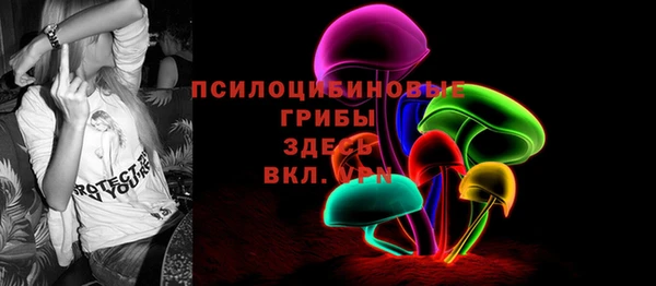 стаф Михайловск