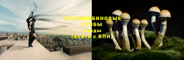 стаф Михайловск