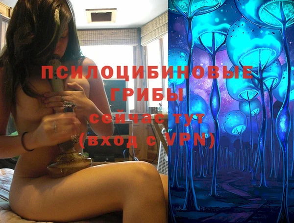 стаф Михайловск