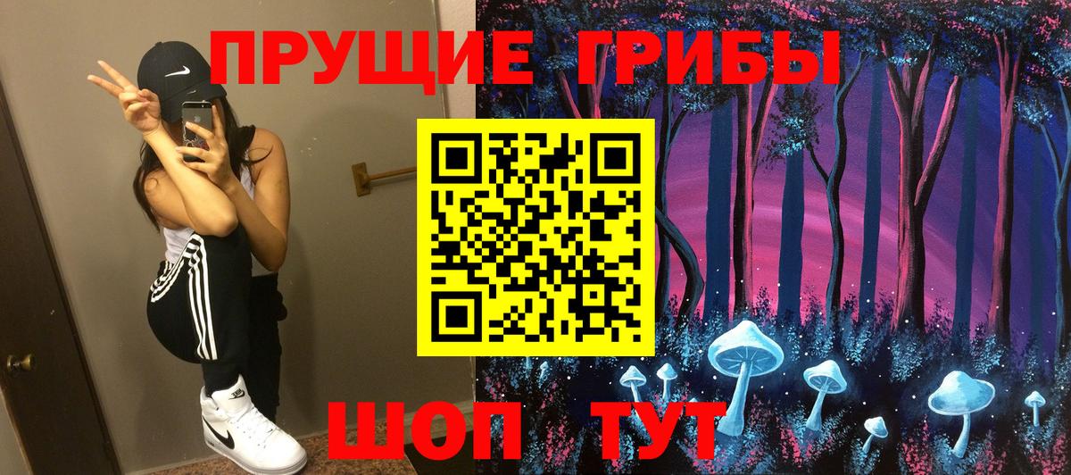 Галлюциногенные грибы Psilocybine cubensis  Урай 