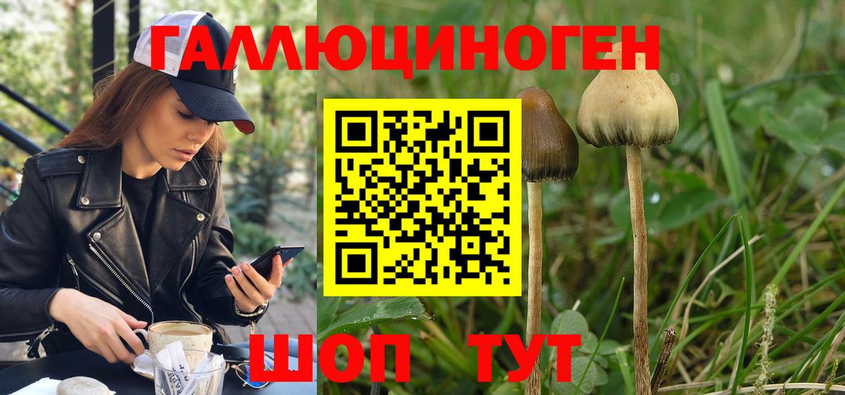 Псилоцибиновые грибы мицелий  Вход с VPN  Галлюциногенные грибы Magic Shrooms  купить наркоту  Урай 