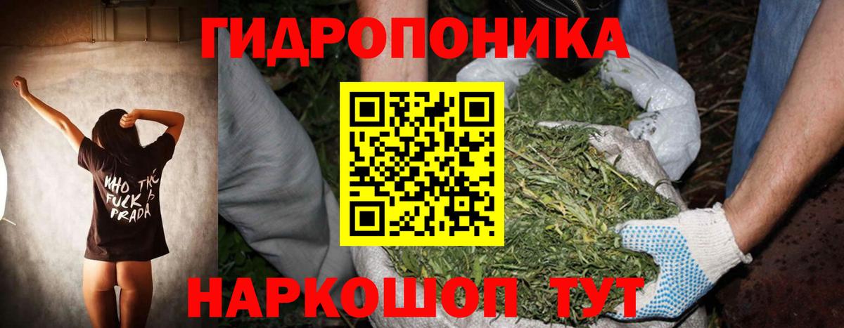 Конопля SATIVA & INDICA Урай